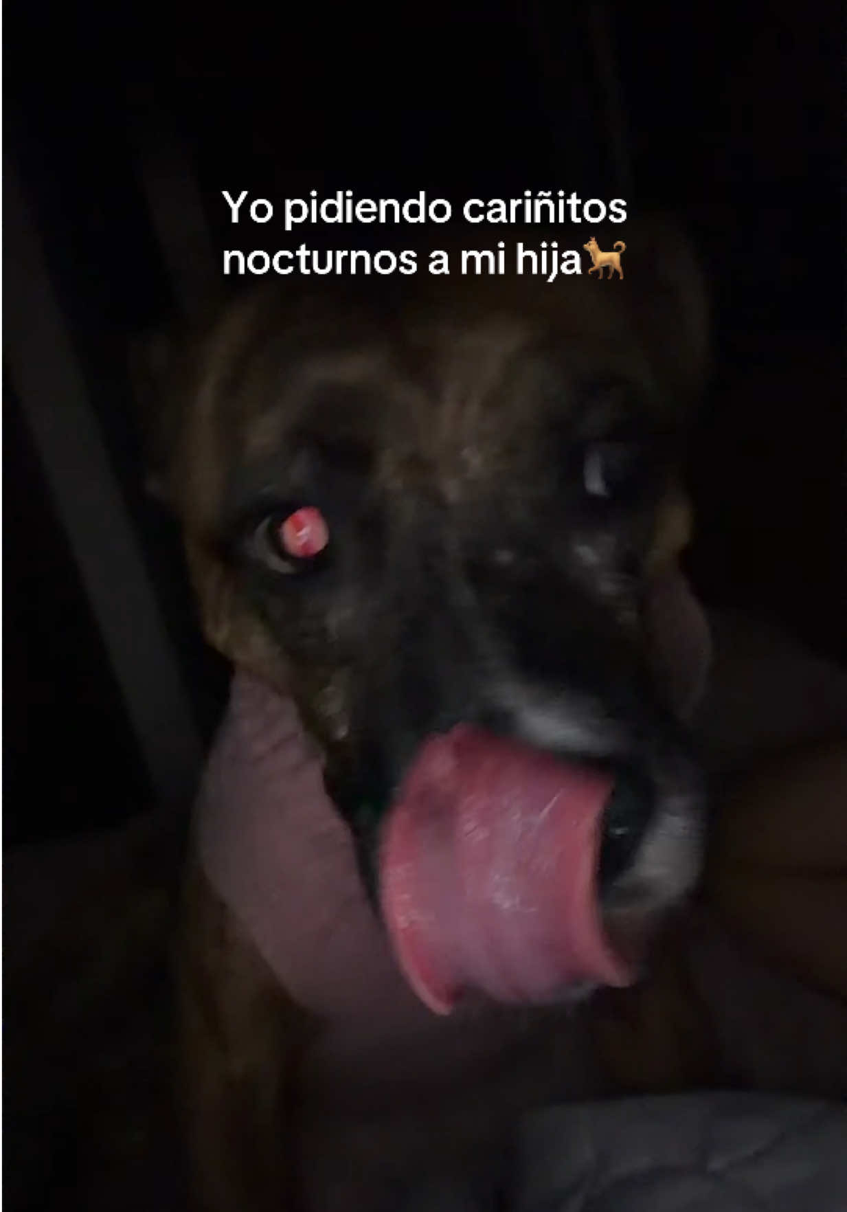 @Mª Camila Castillo