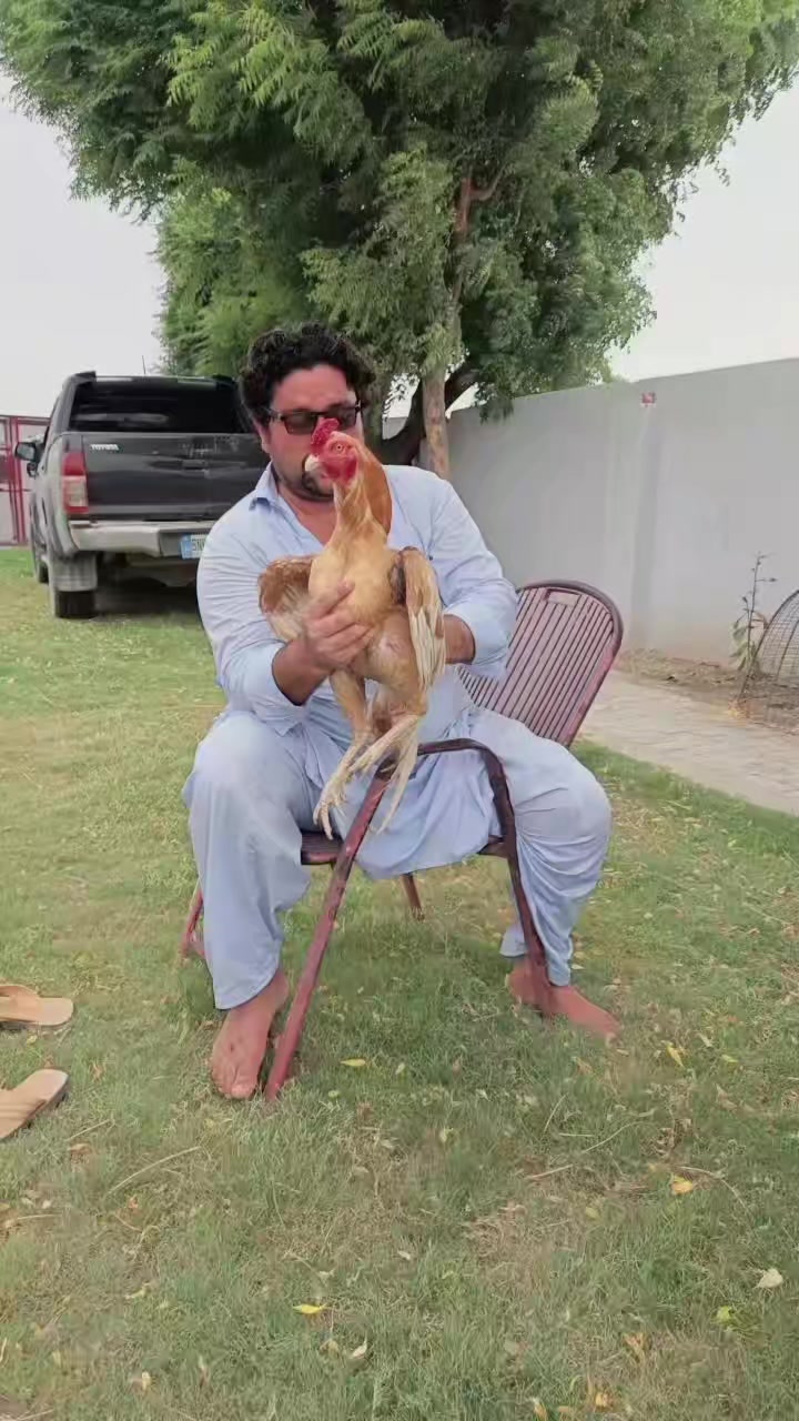 @ustadfarooqazamkhan