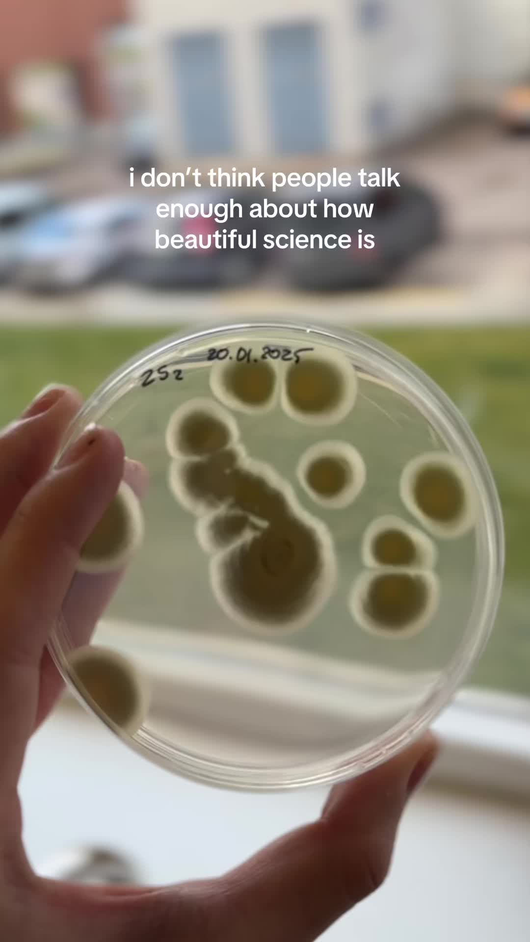 @Amira | Biotech