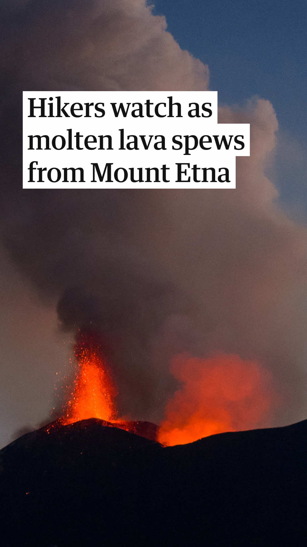 @The Guardian