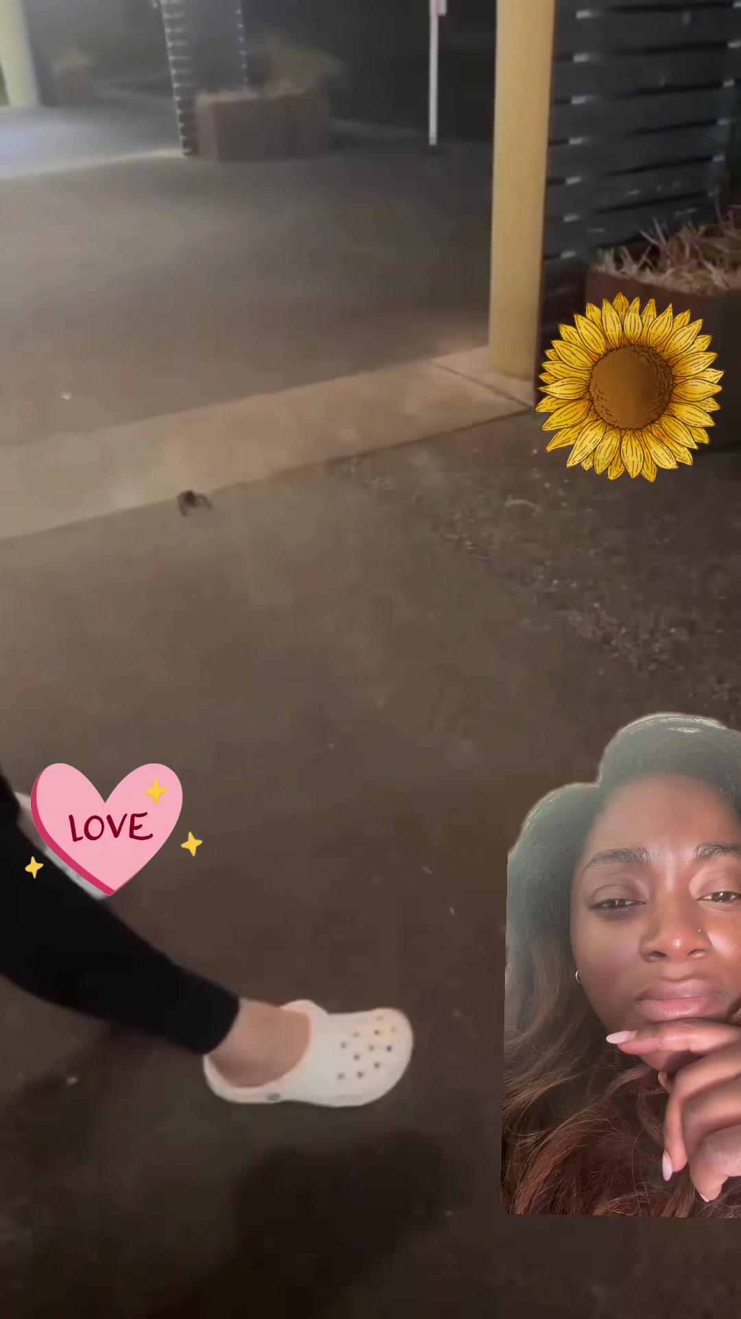 @D_talk33