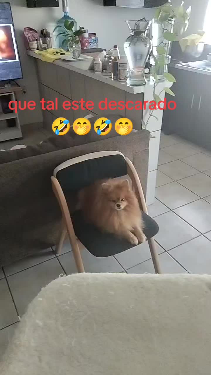 @Silvanna Lafontaynne