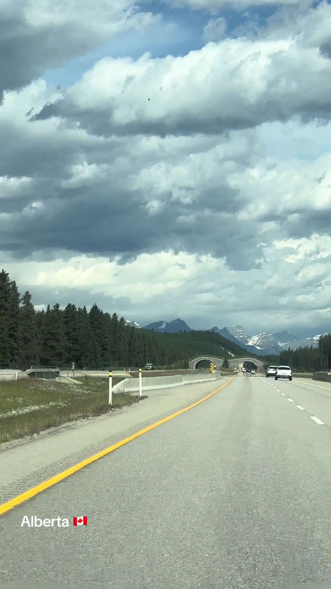 @Ada 🇨🇦