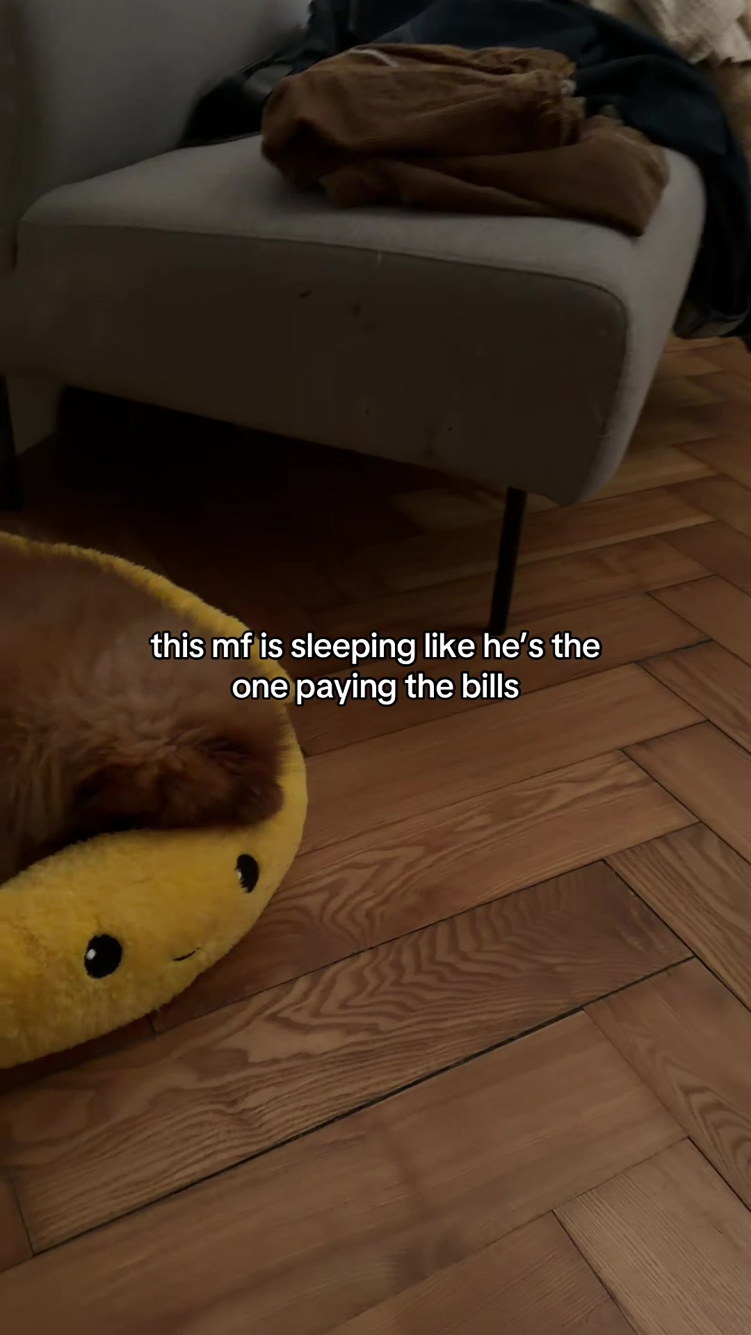 @Eli