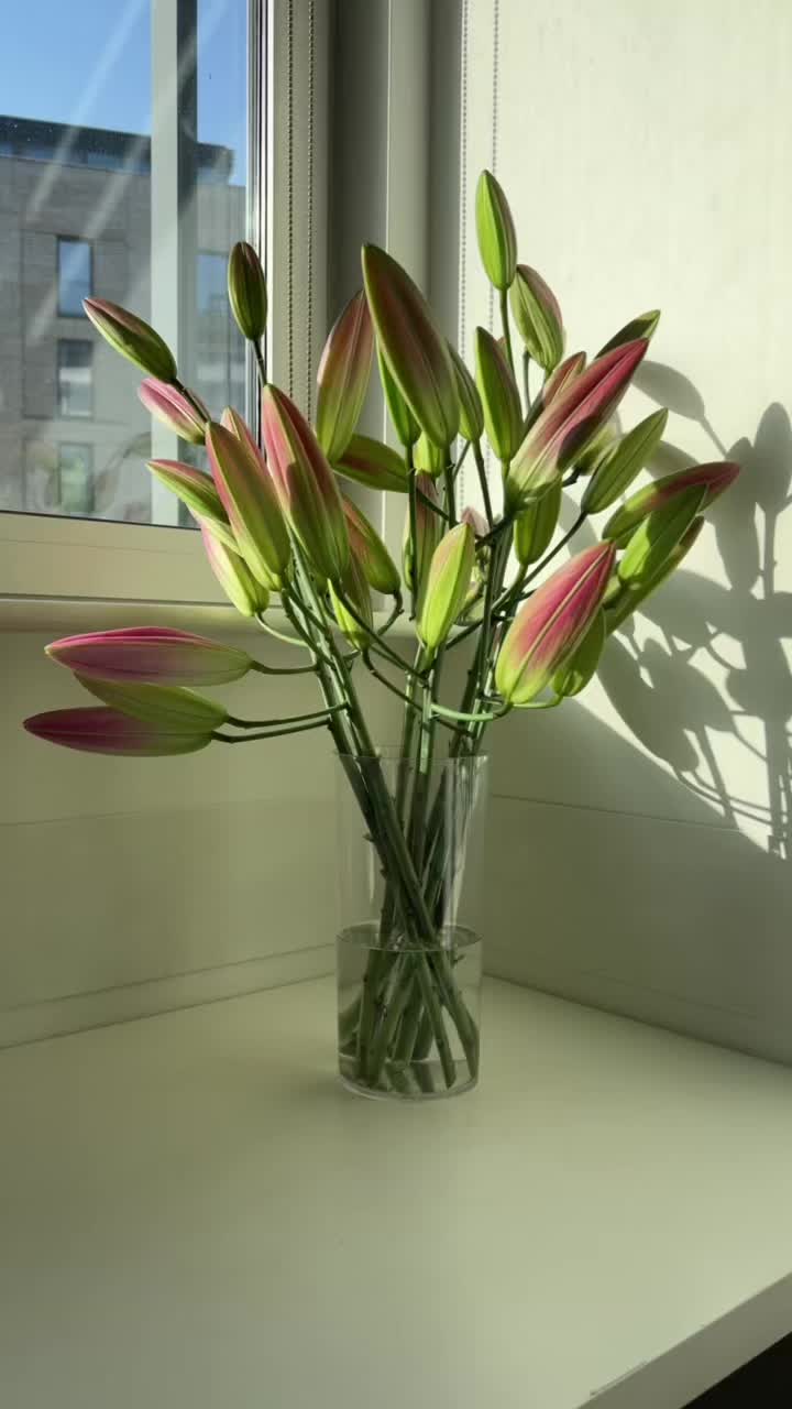 @byouquets &reg;
