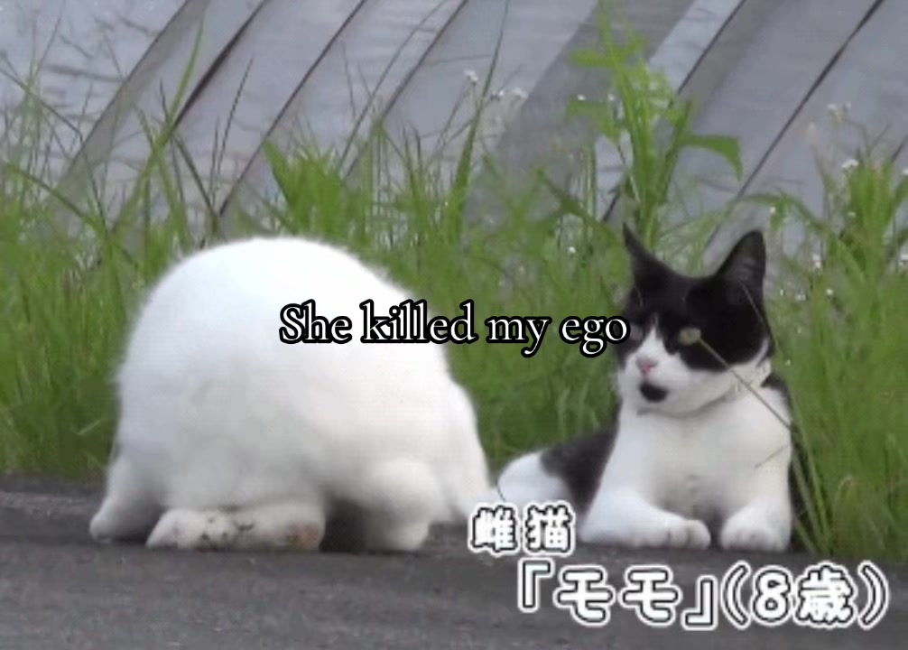 @๐๐๐๐๐ฝ๐