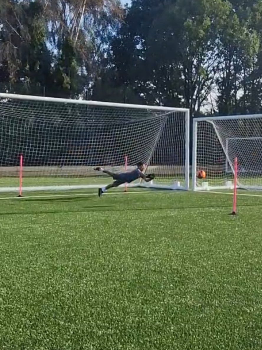 @hodge_gk
