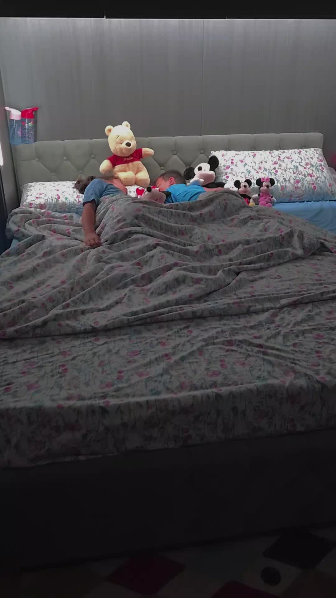 @anaiasmyna2020
