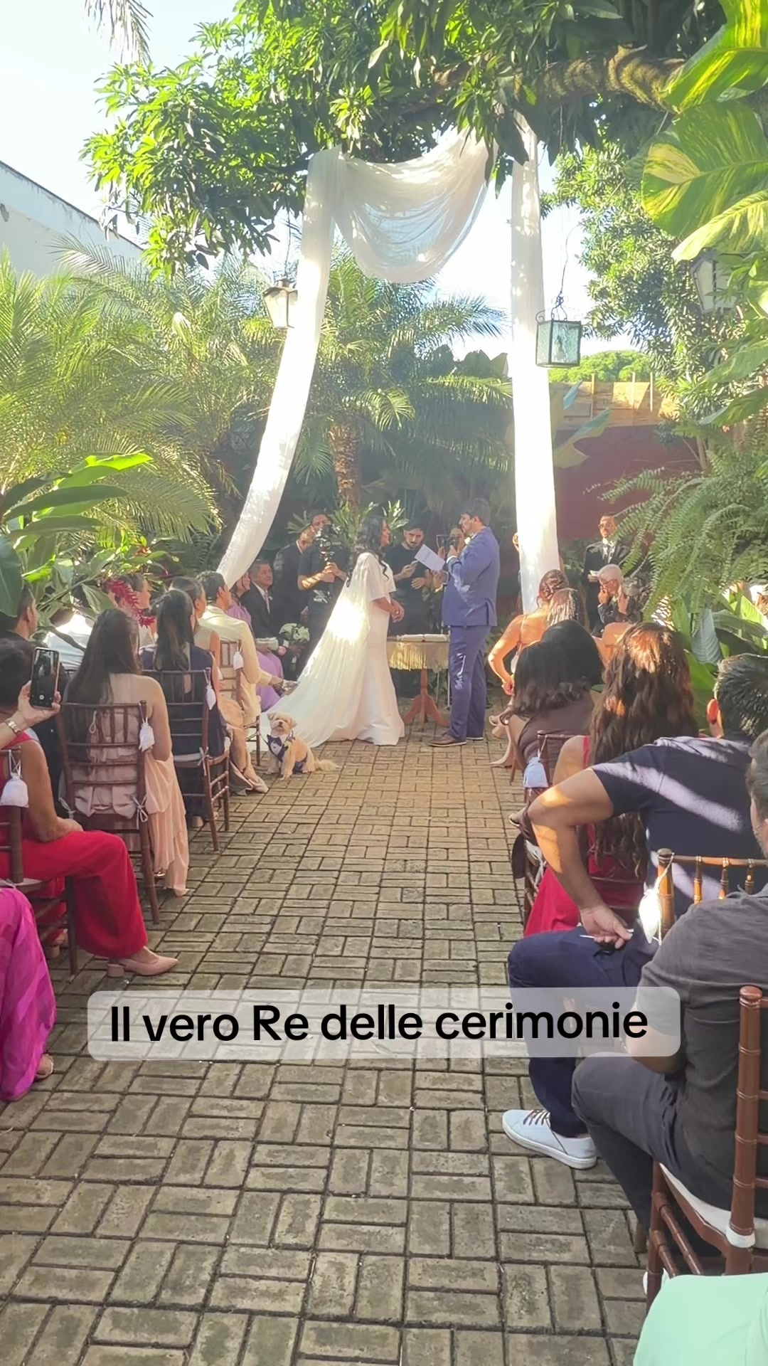 @Angelica Massera
