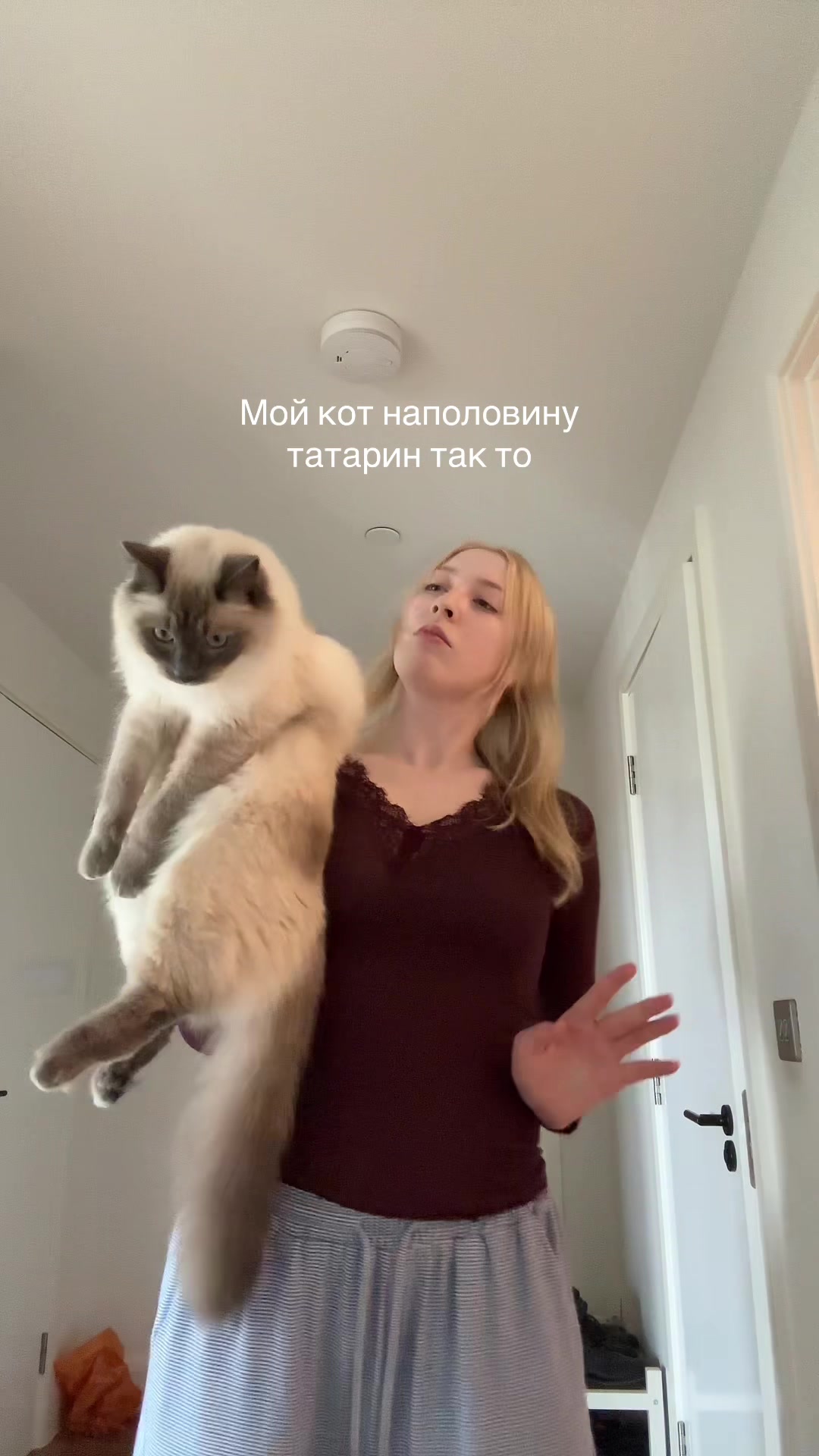@Сильвинит живет