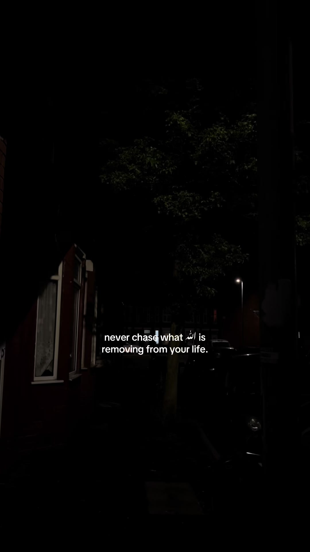@No Doubt🕊️