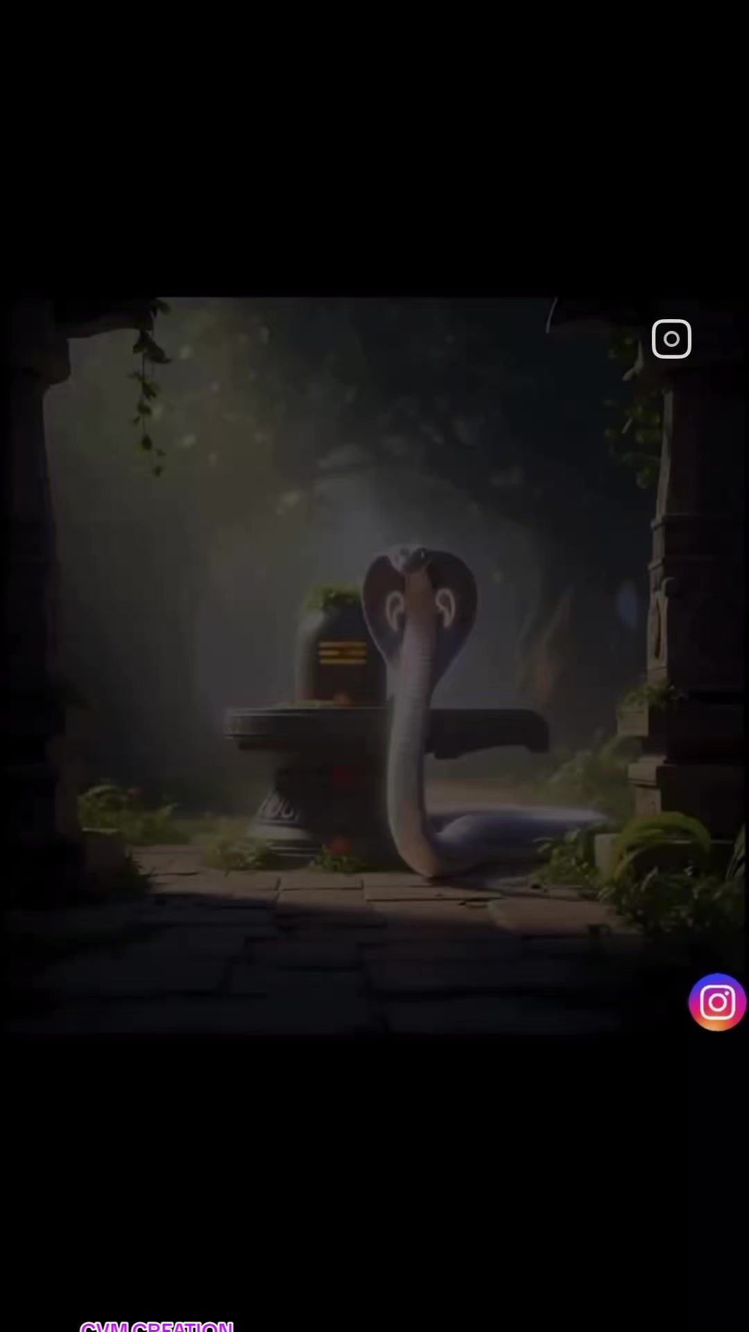 @CVM_ZN 🔅