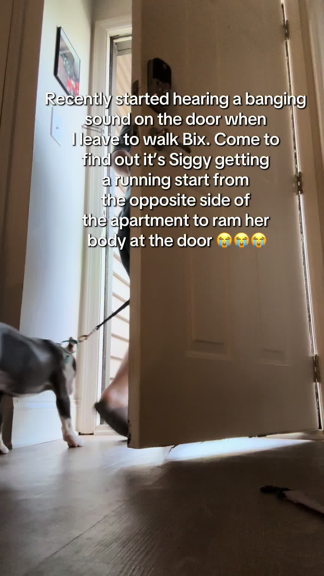 @SBPK
