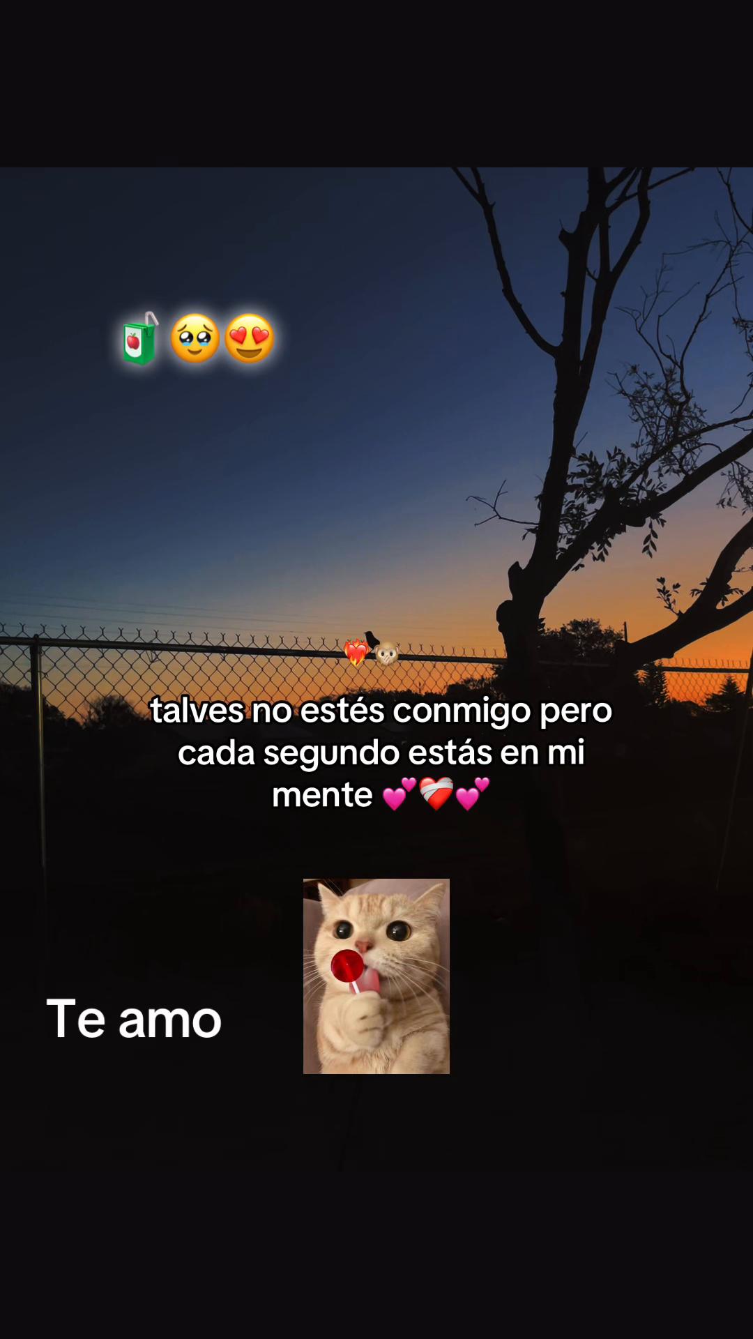 @18morales5