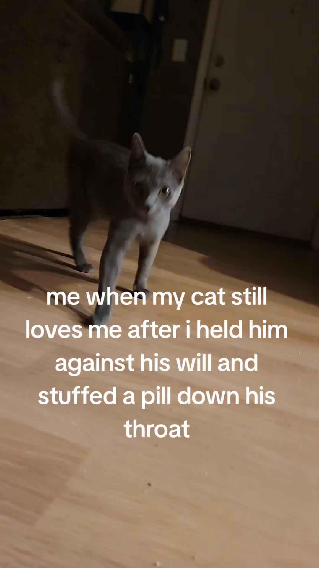 @Ace