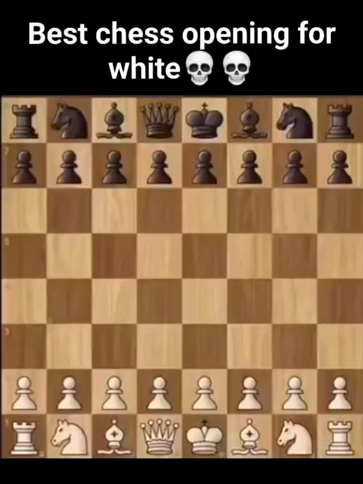 @chessline.io