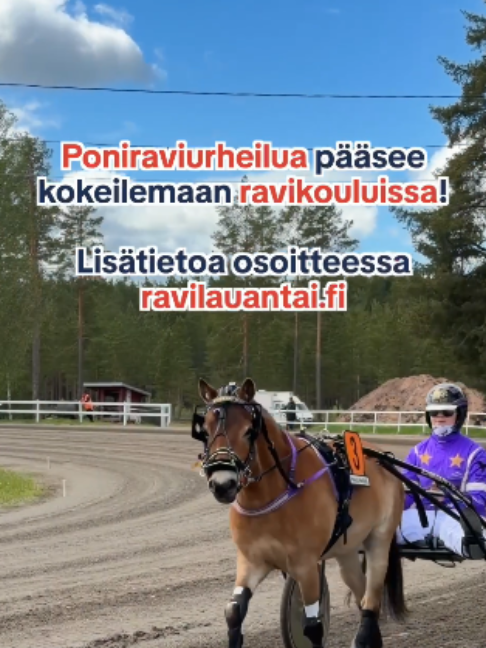 @Suomen Hippos ry