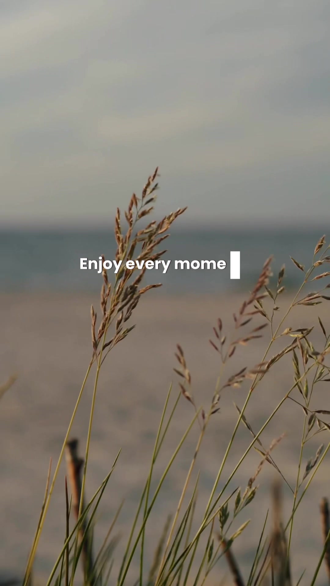 @VIVIDNOW Mindset & Positivity