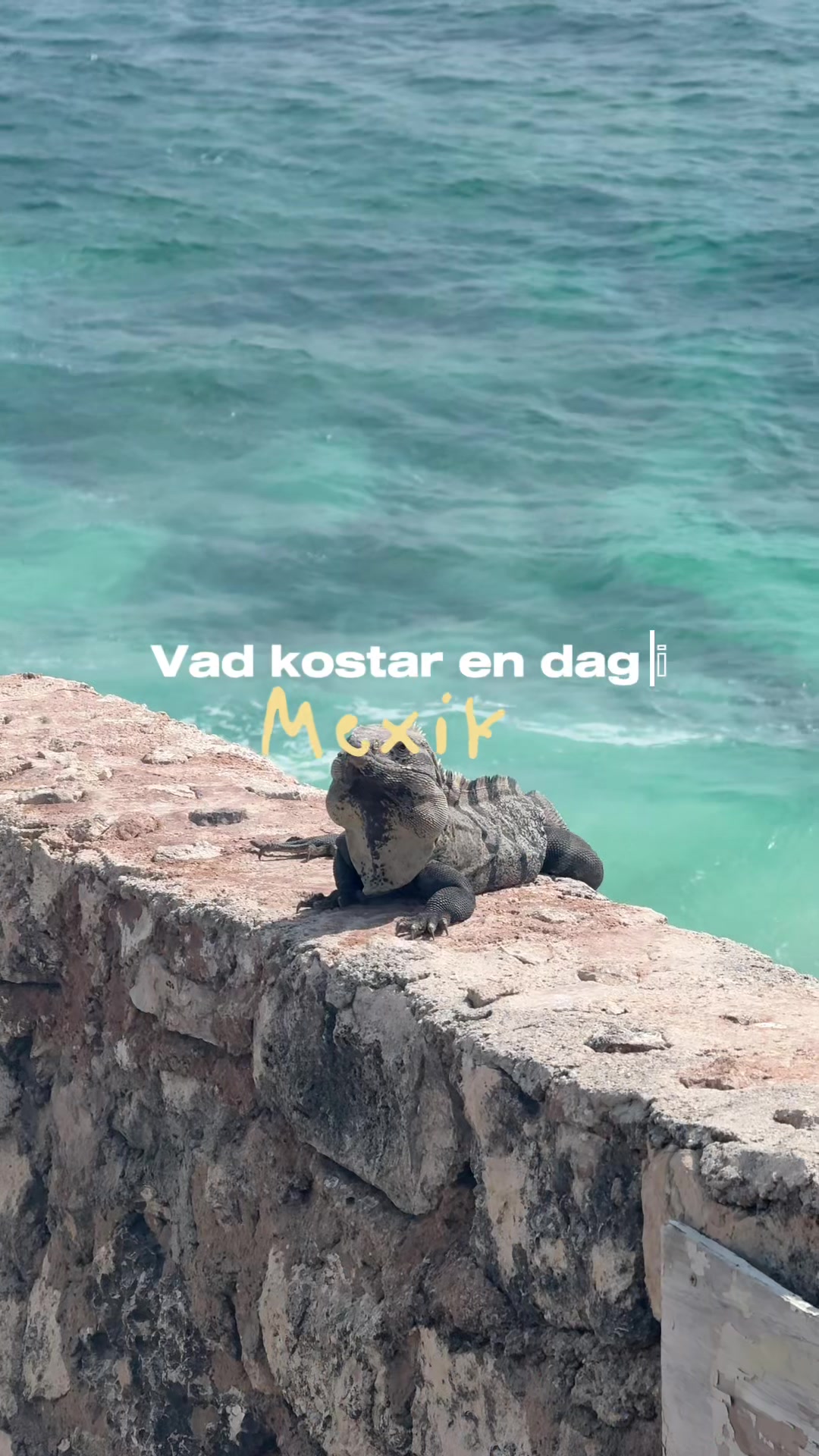@Amanda