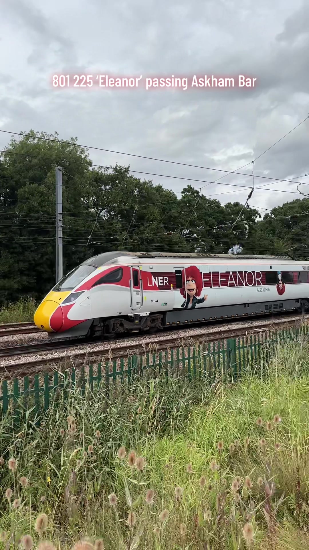 @The Duo of Train Lovers