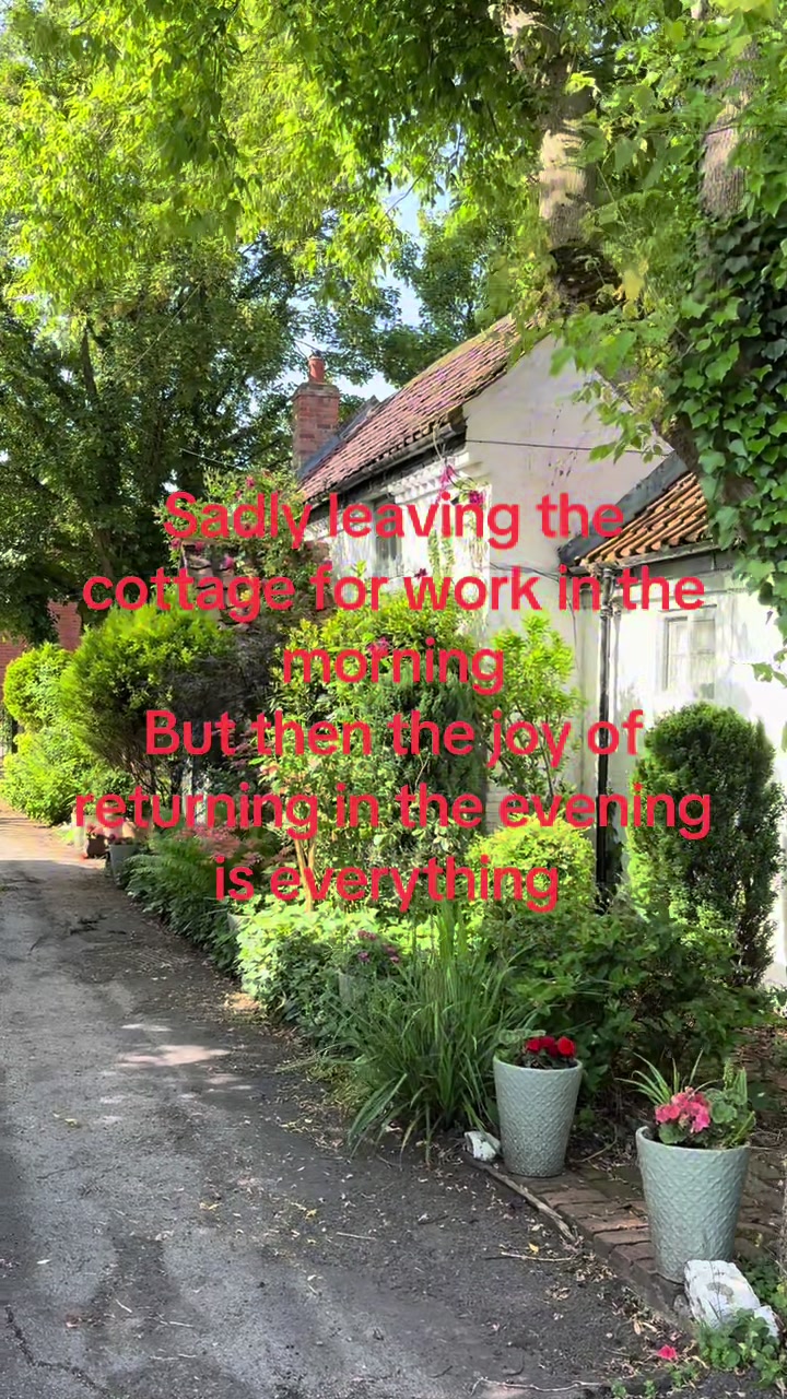 @Cottage Moor Witch