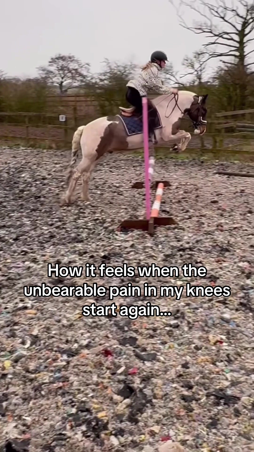 @Lilywiththecobs🐴