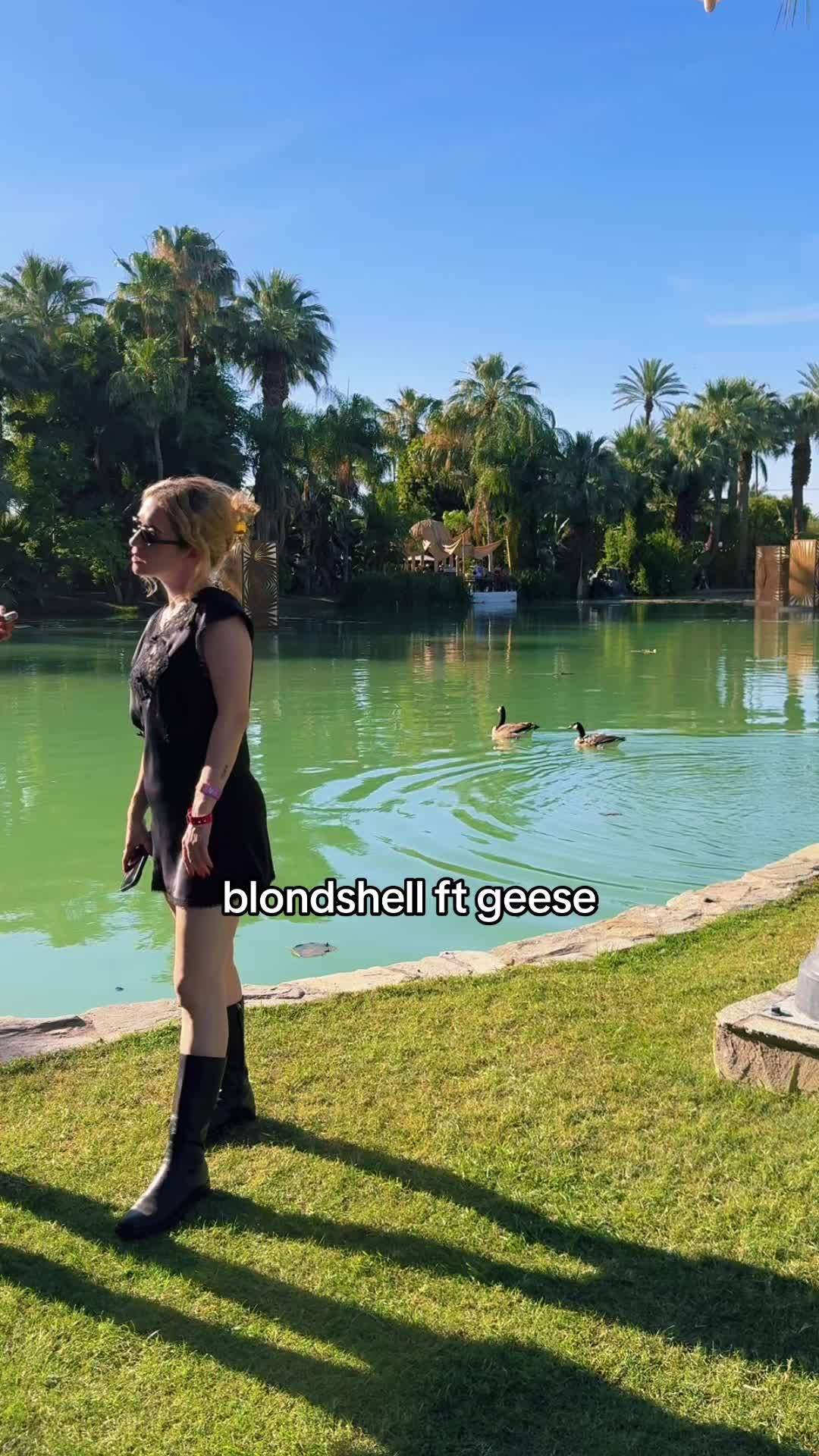 @babyshellss