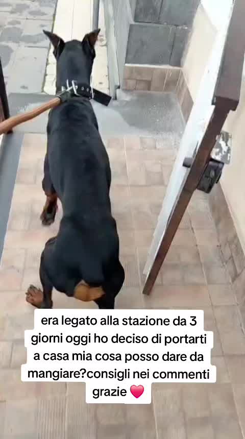 @⚠️ IL RE DEI BULLY ⚠️