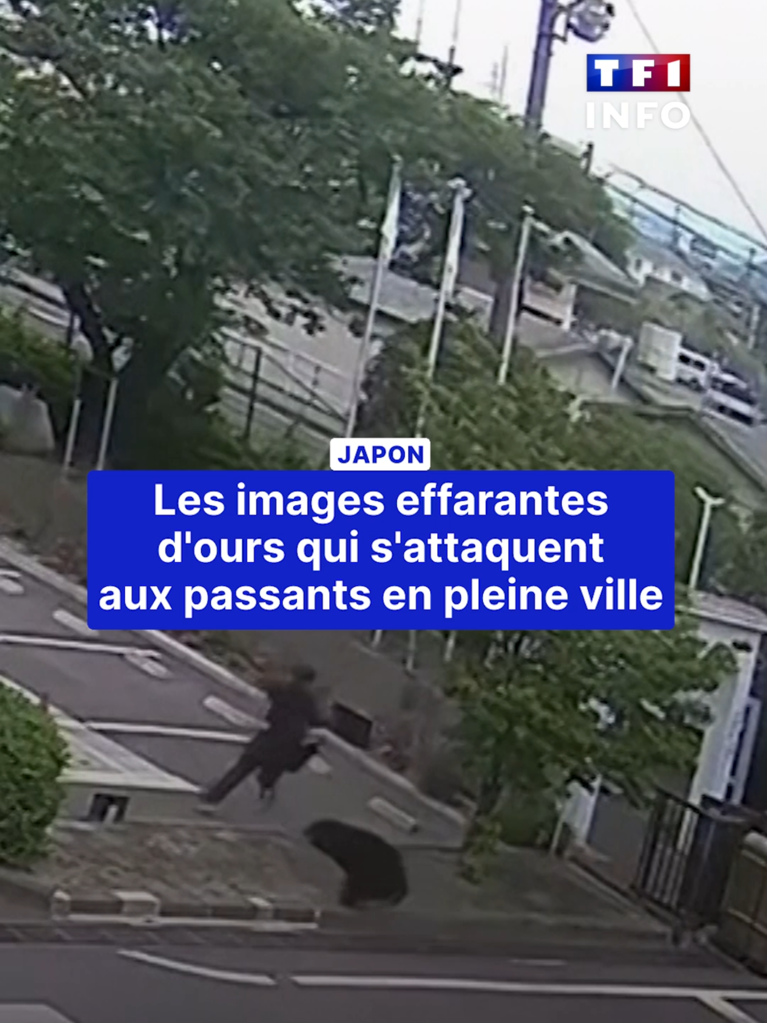 @TF1 INFO