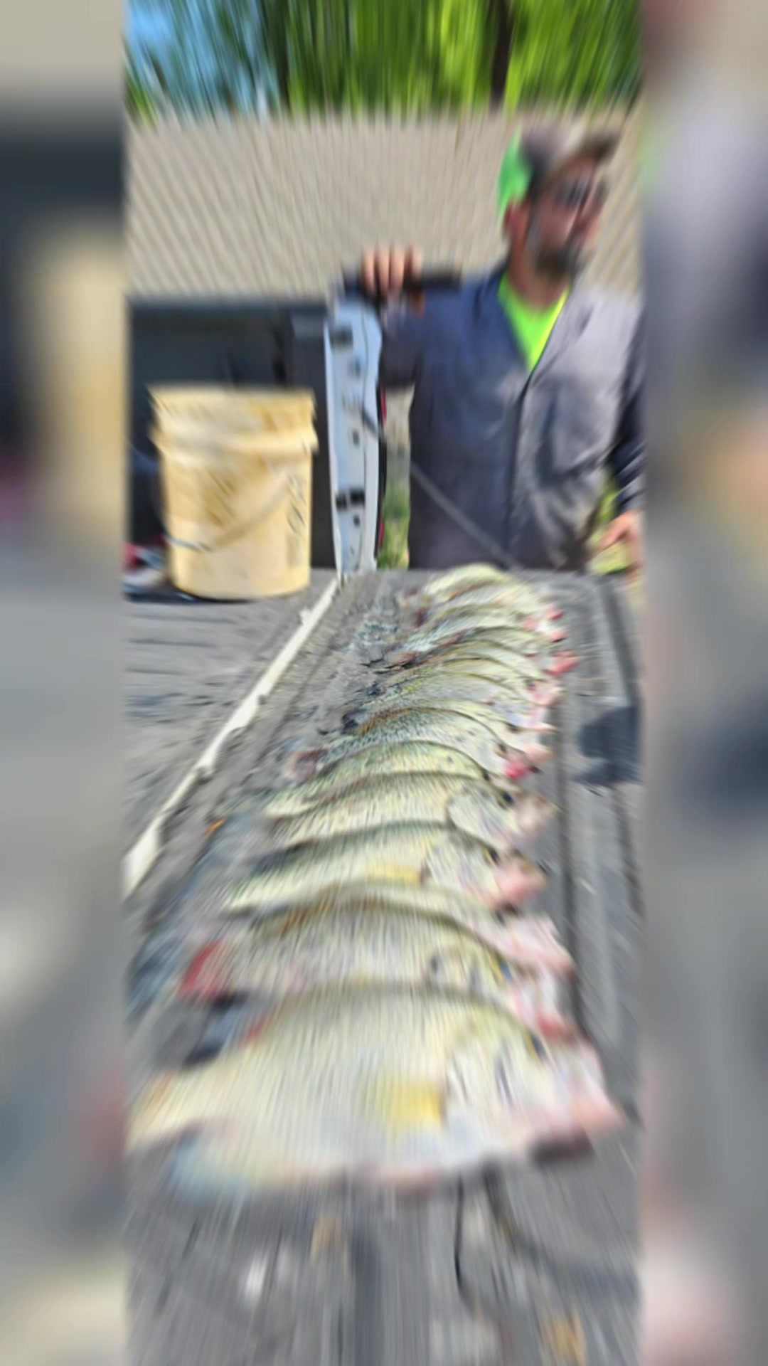 @Crappie Sniper