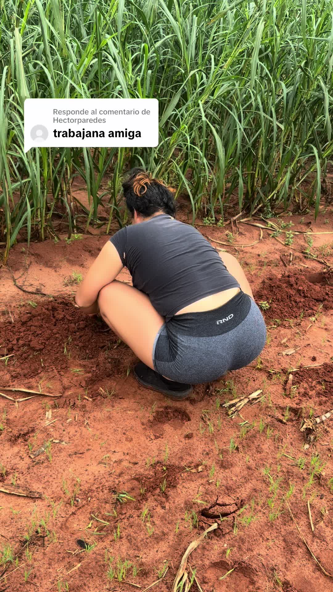 @tikidollby_