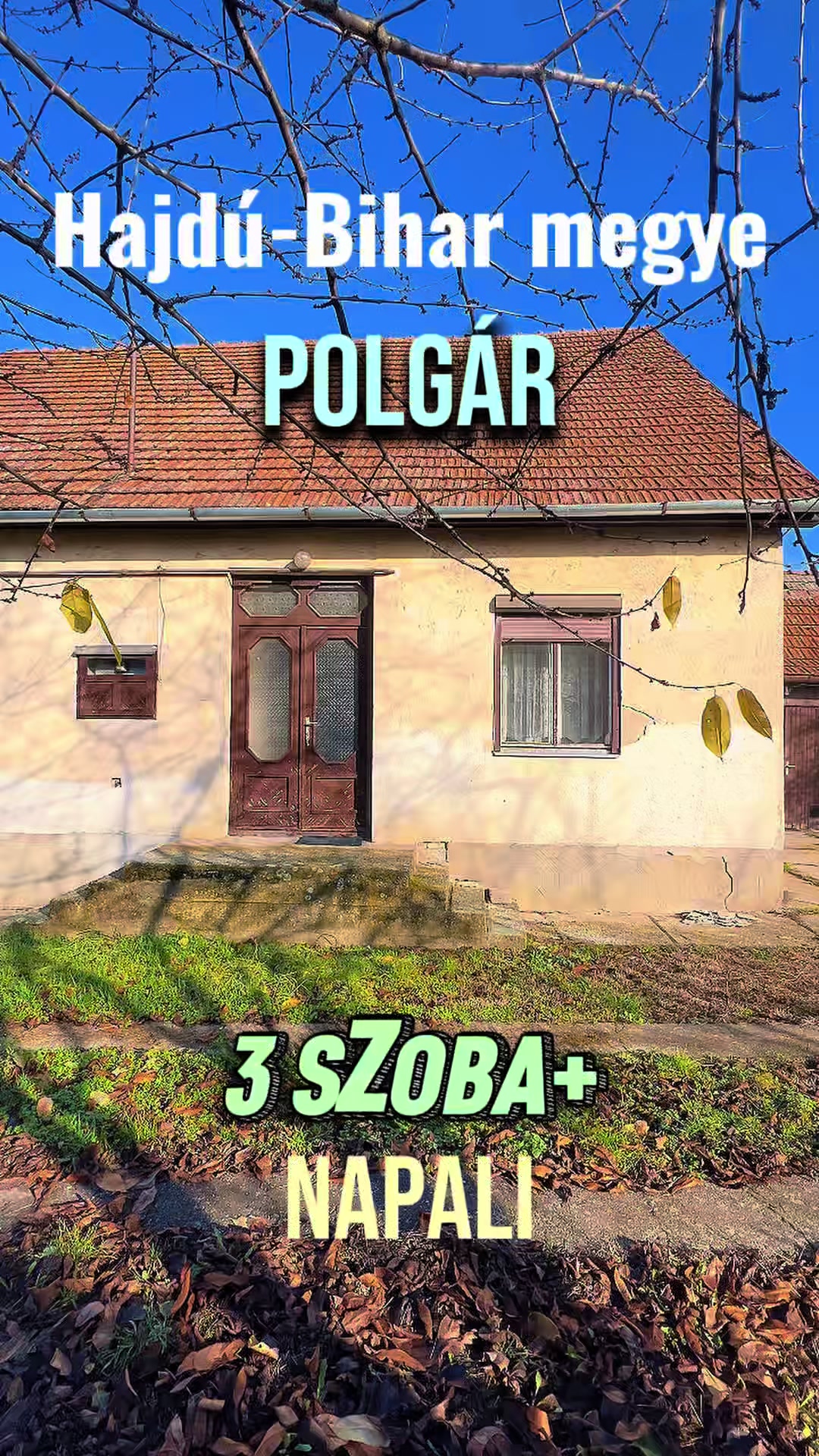 @TOP INGATLAN MEZŐKÖVESD