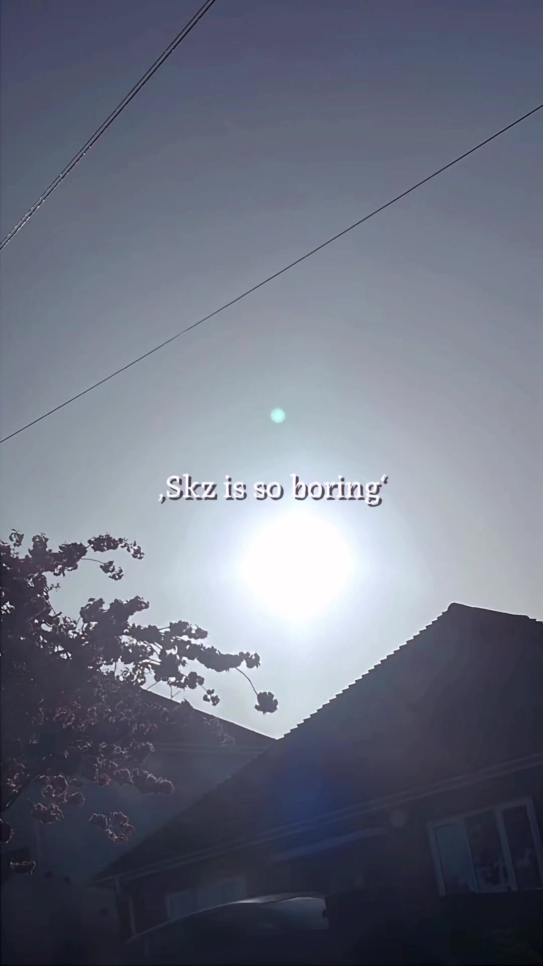 @Scarla.➊➃❸.stray.♡.0801