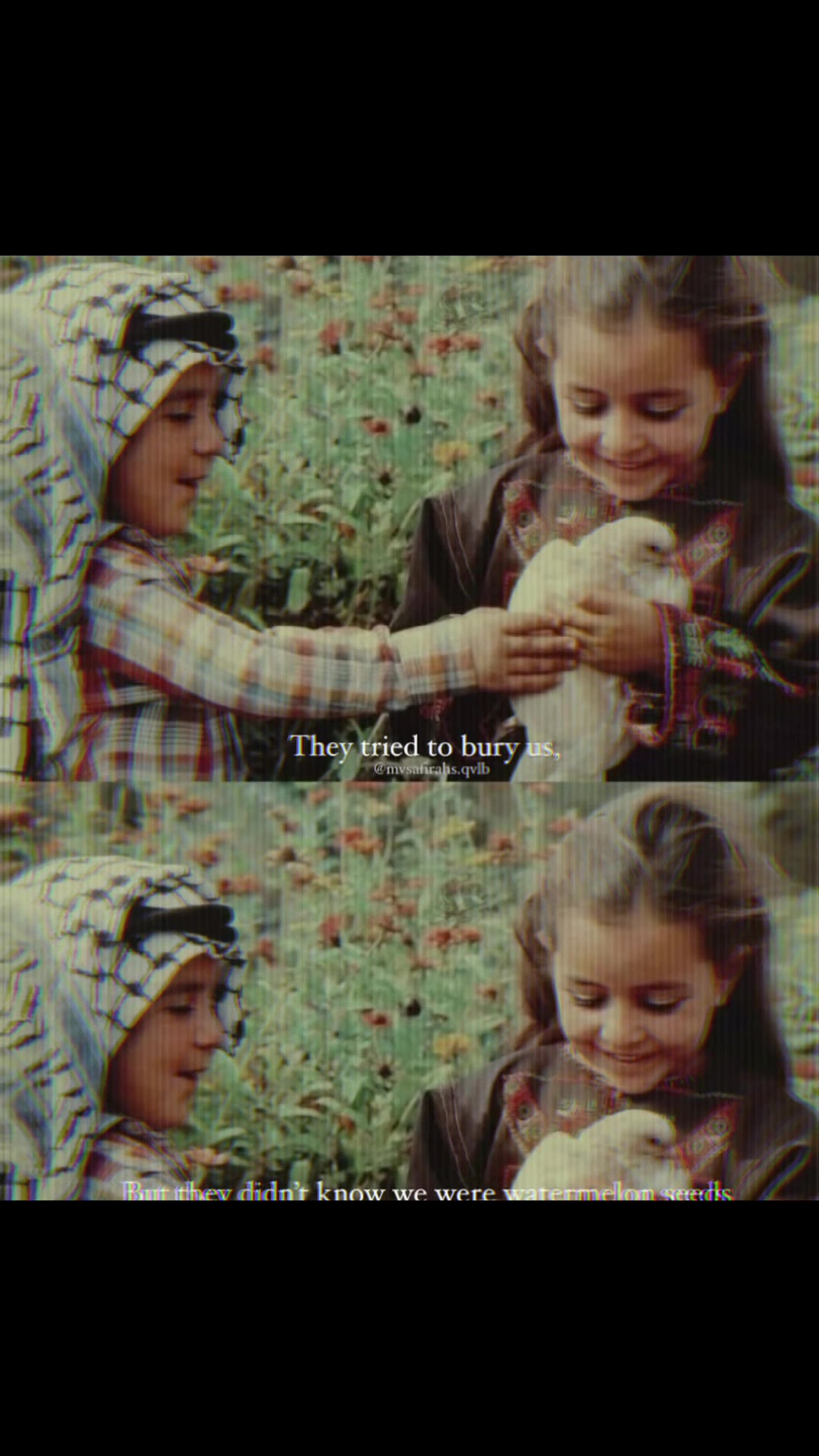@🥷🦅+970🇵🇸✌️فلسطين🇵🇸🦅🥷