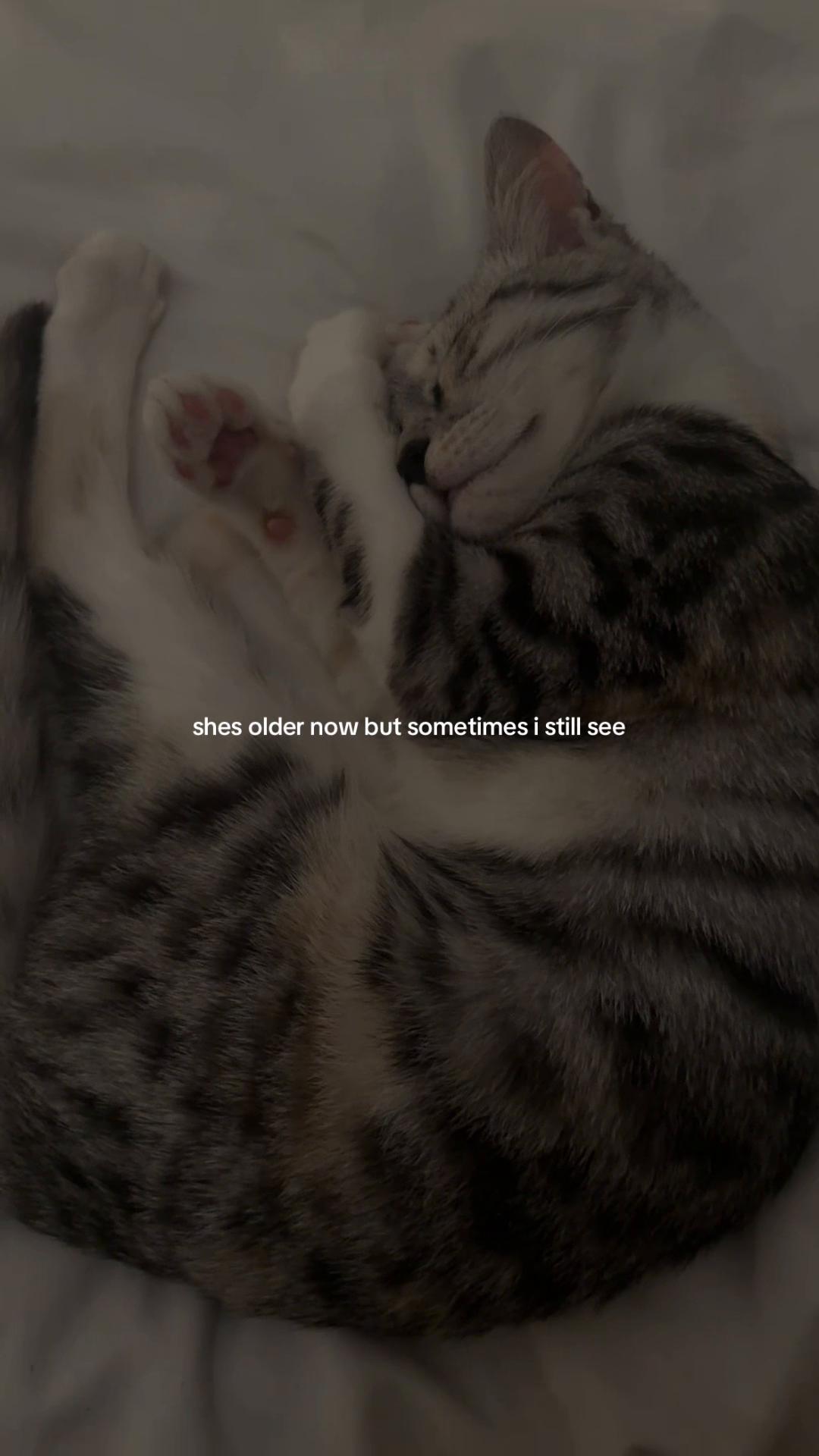@a