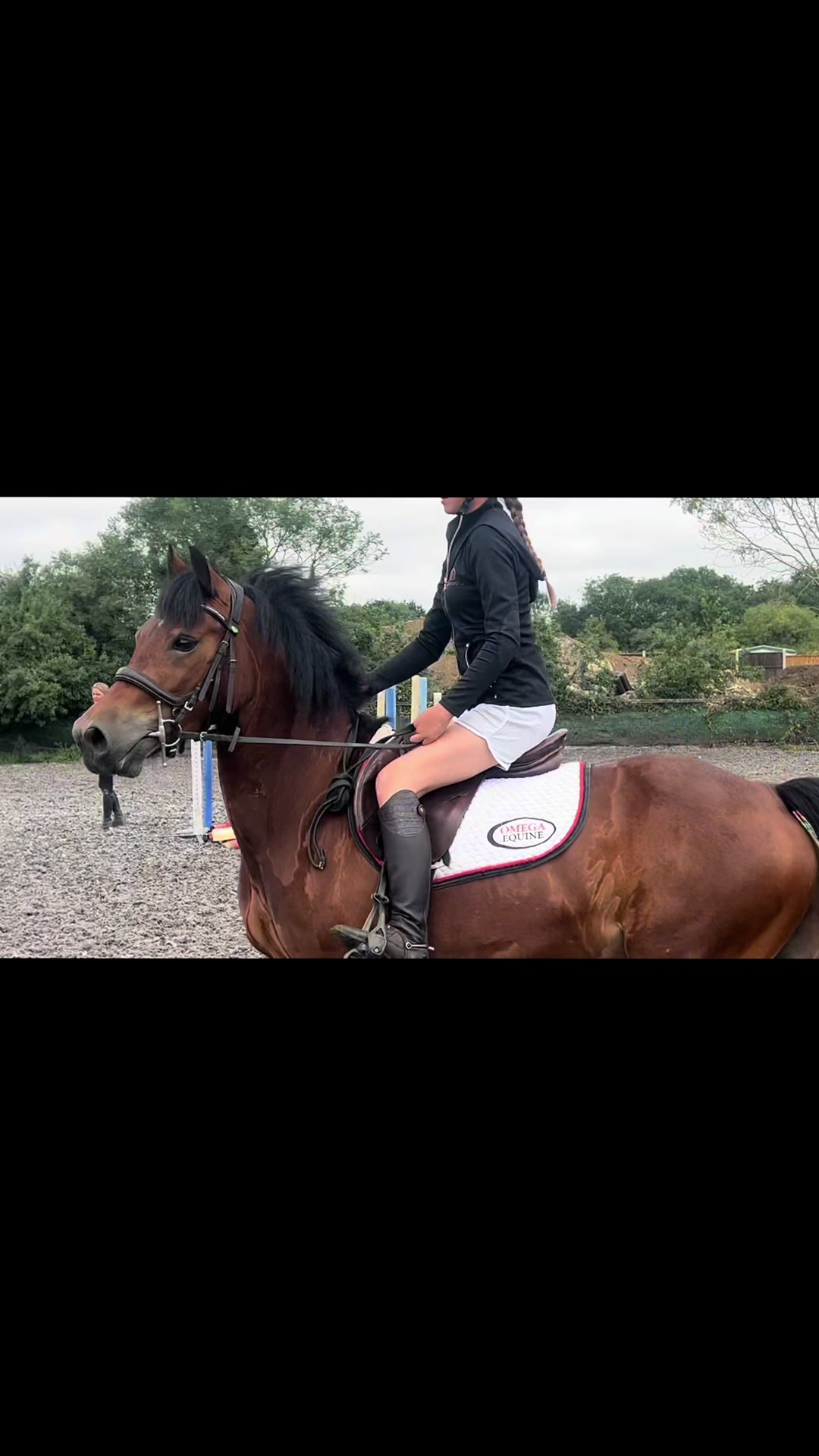 @Ronnie moore's showjumping