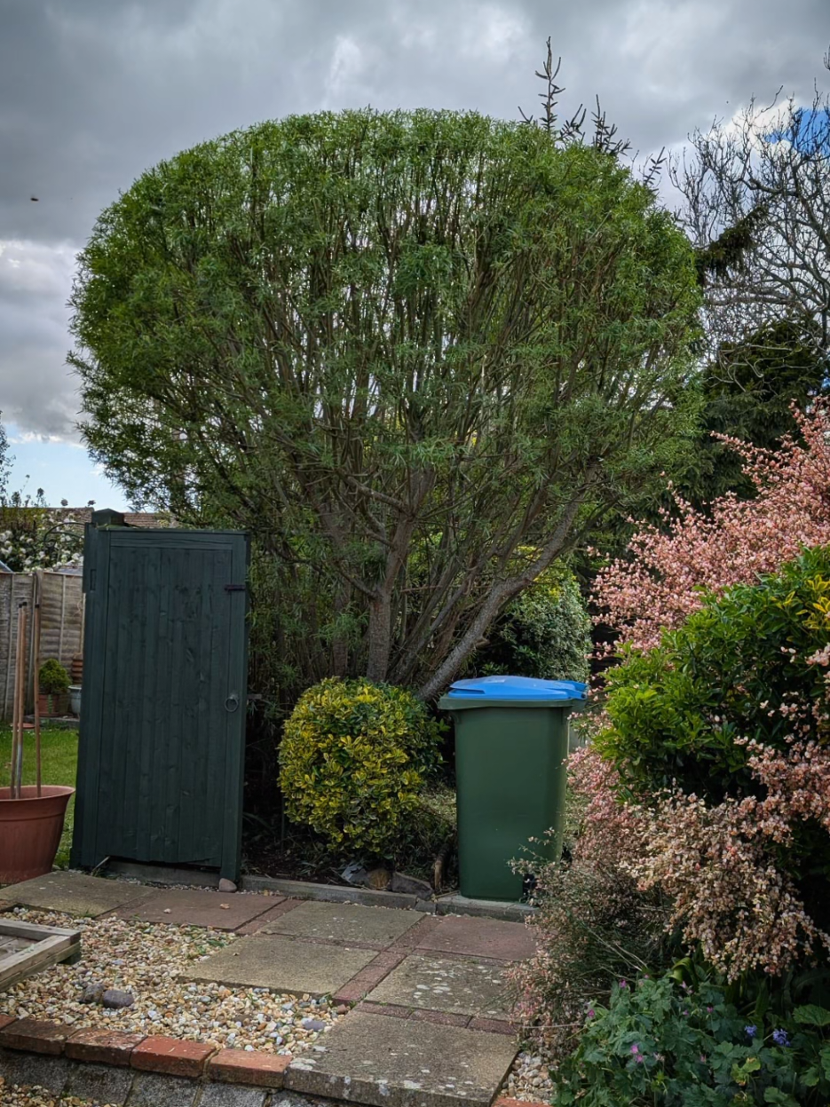 @Gary Hall Garden Services