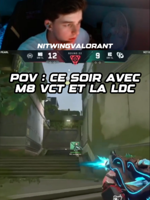 @nitwingVCT