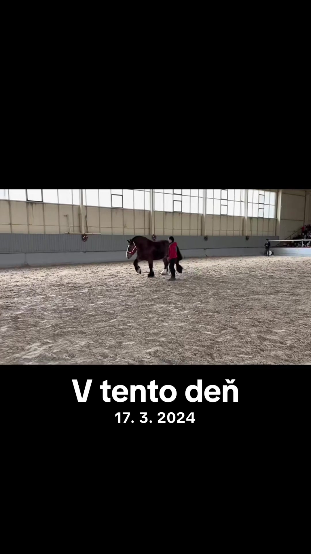 @liviaschlenger