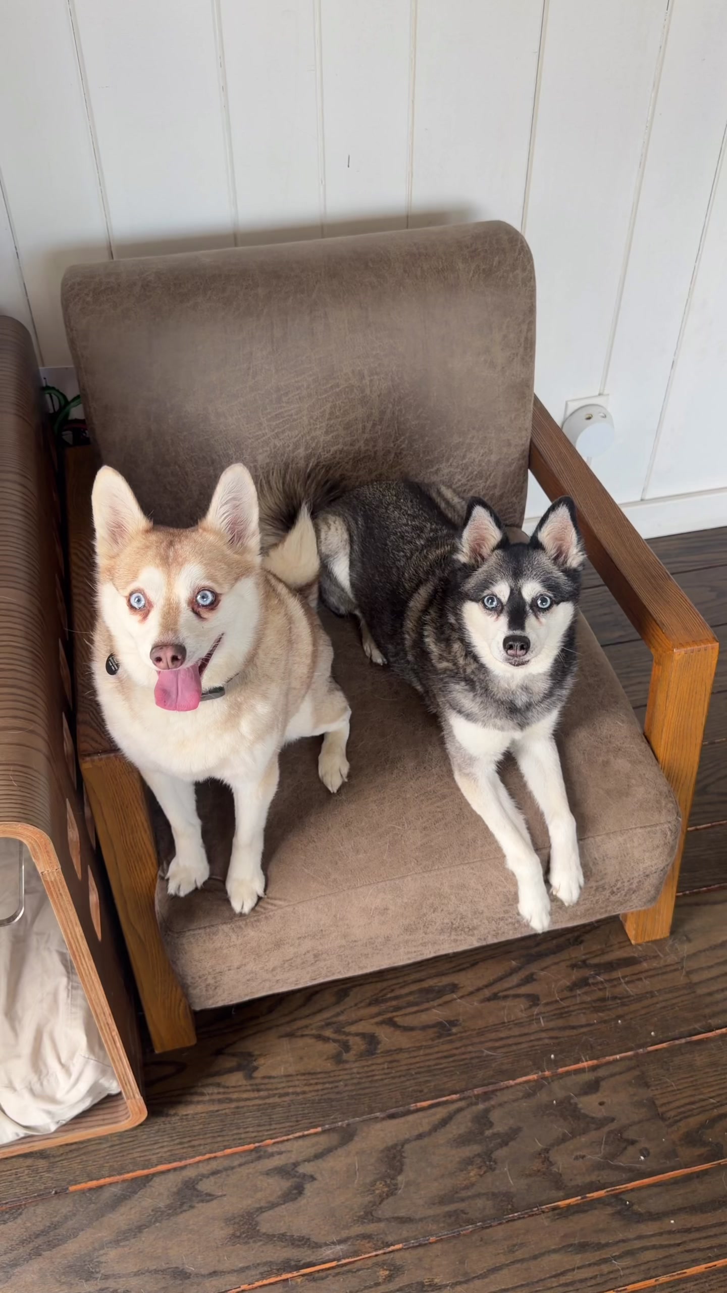 @lifewithkleekai