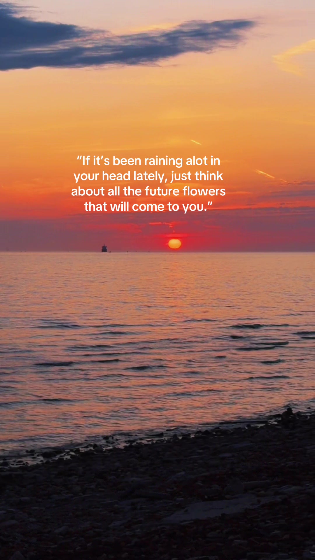 @quoted_by_sunset
