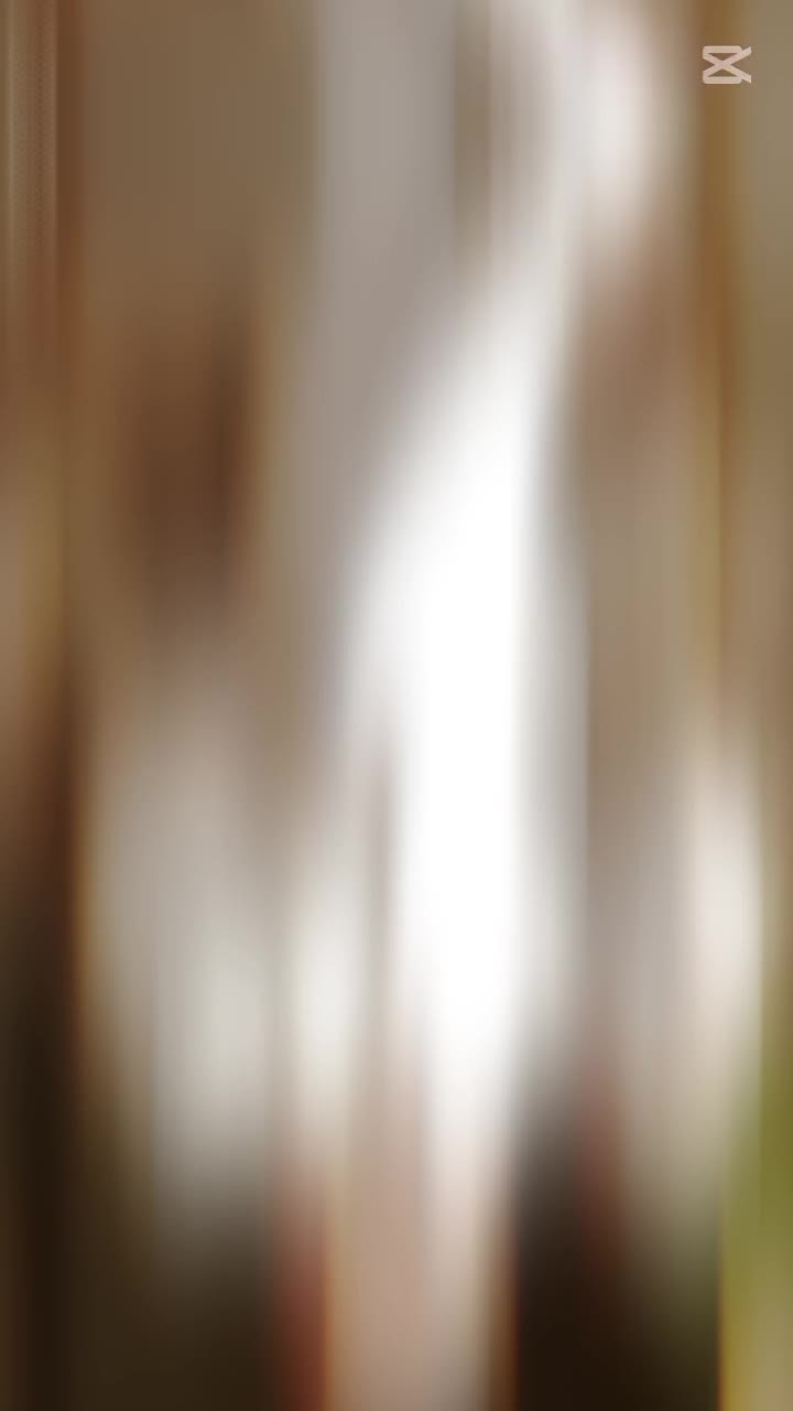 @𝕄𝔸ℕ𝕆 𝔹𝕀𝕃𝕃𝕀 🐱⚡🫀