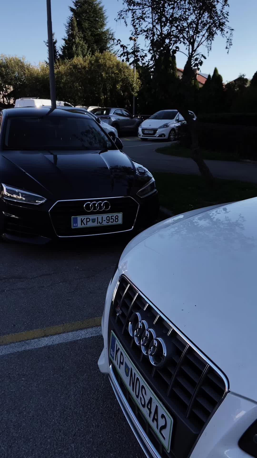@Admir Okić