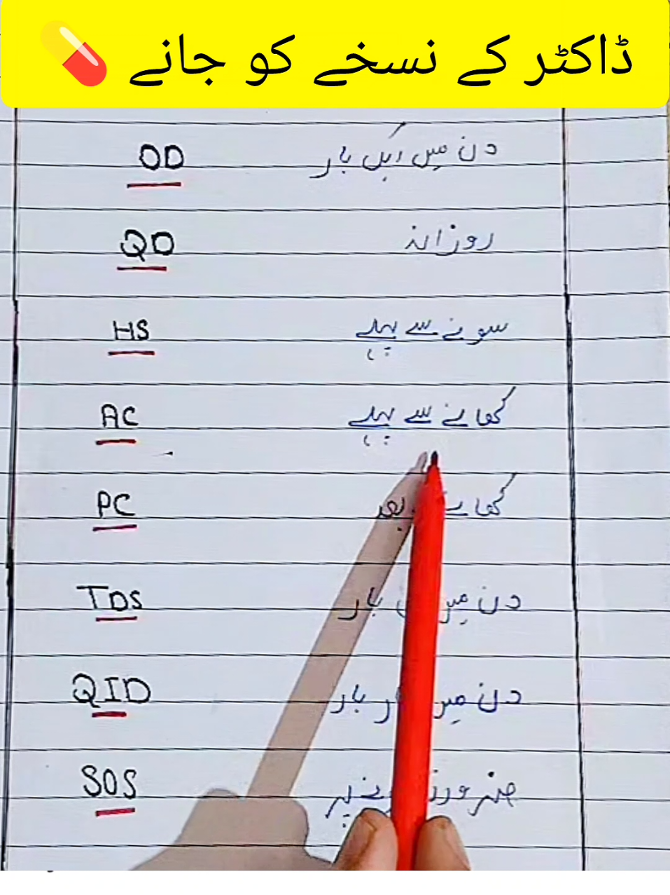 @Knowledge ✍️