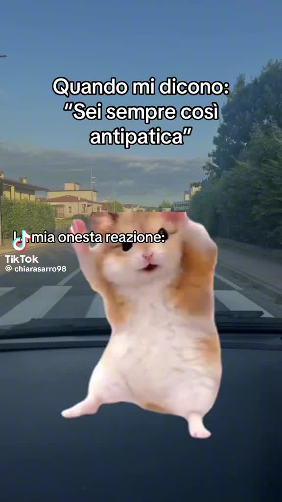 @AMORE MIO