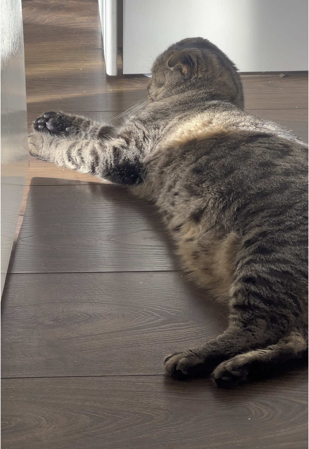 @ูููู๐
