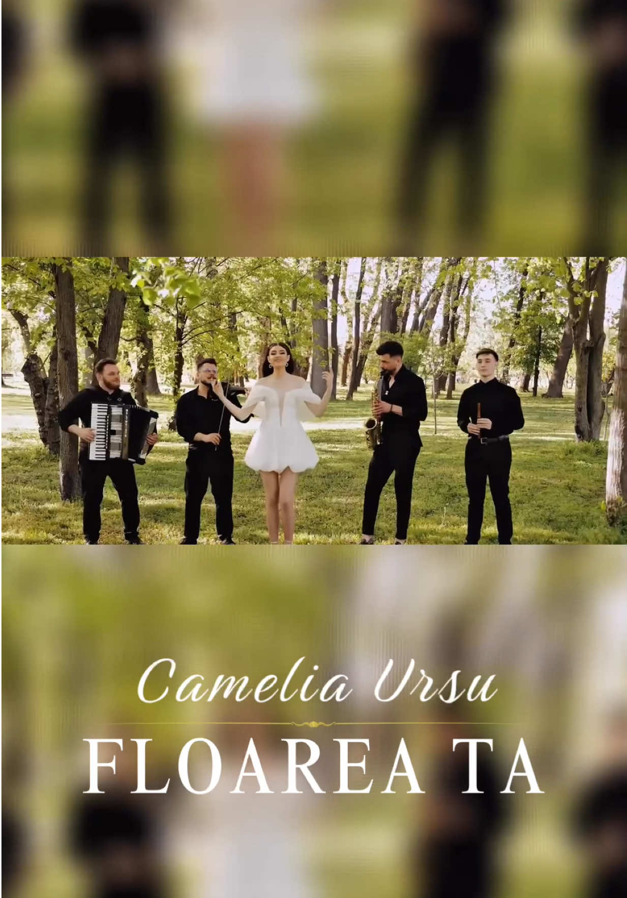 @Formația 7Coline🎶
