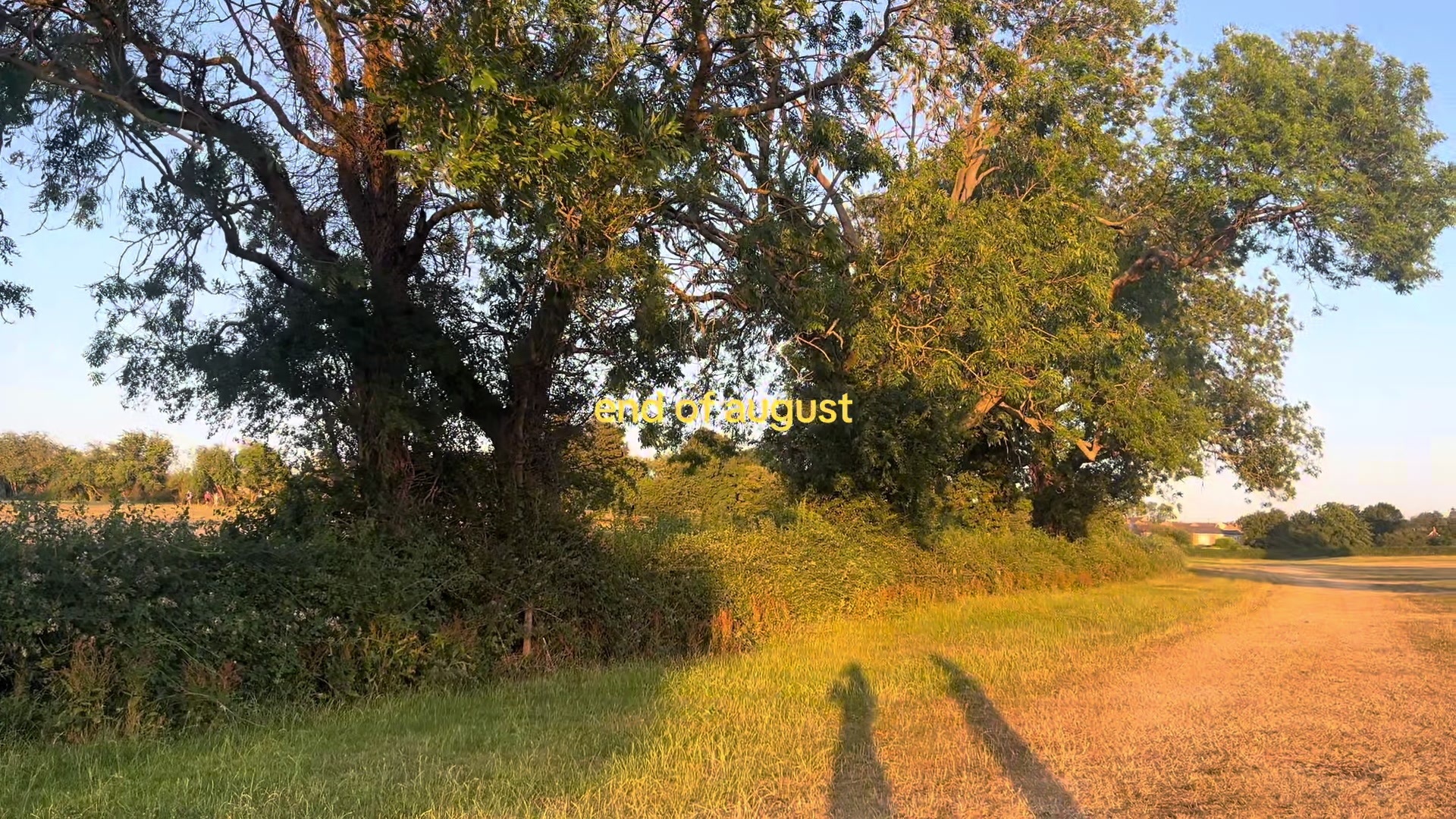 @ೃ࿐