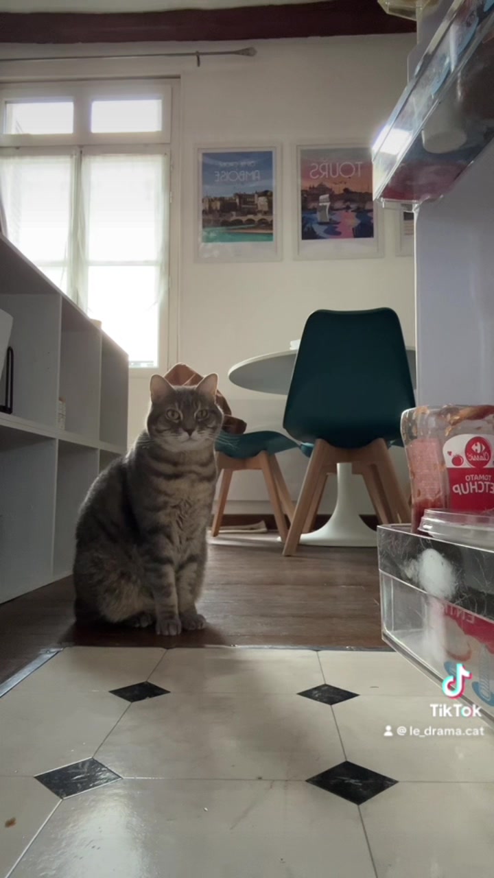 @Le_drama.cat 🇫🇷