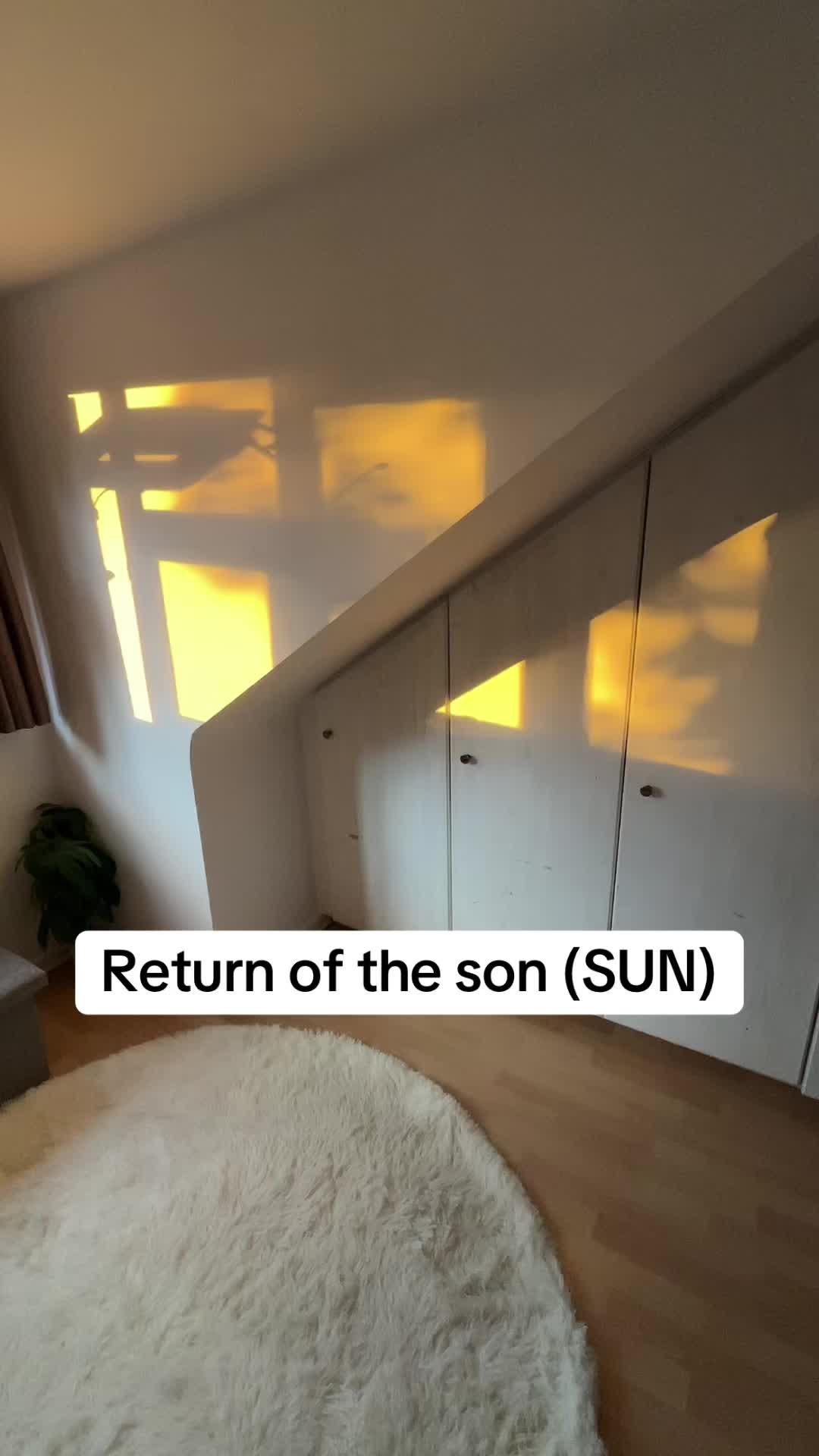 @divinesol144